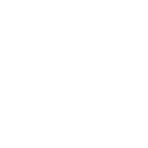 The Central Shoppe